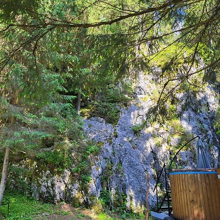 Pension Cabana Cetatile Ponorului Padis Esterno foto