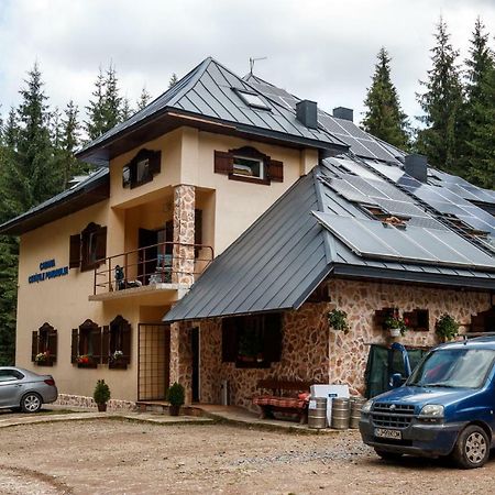Pension Cabana Cetatile Ponorului Padis Esterno foto