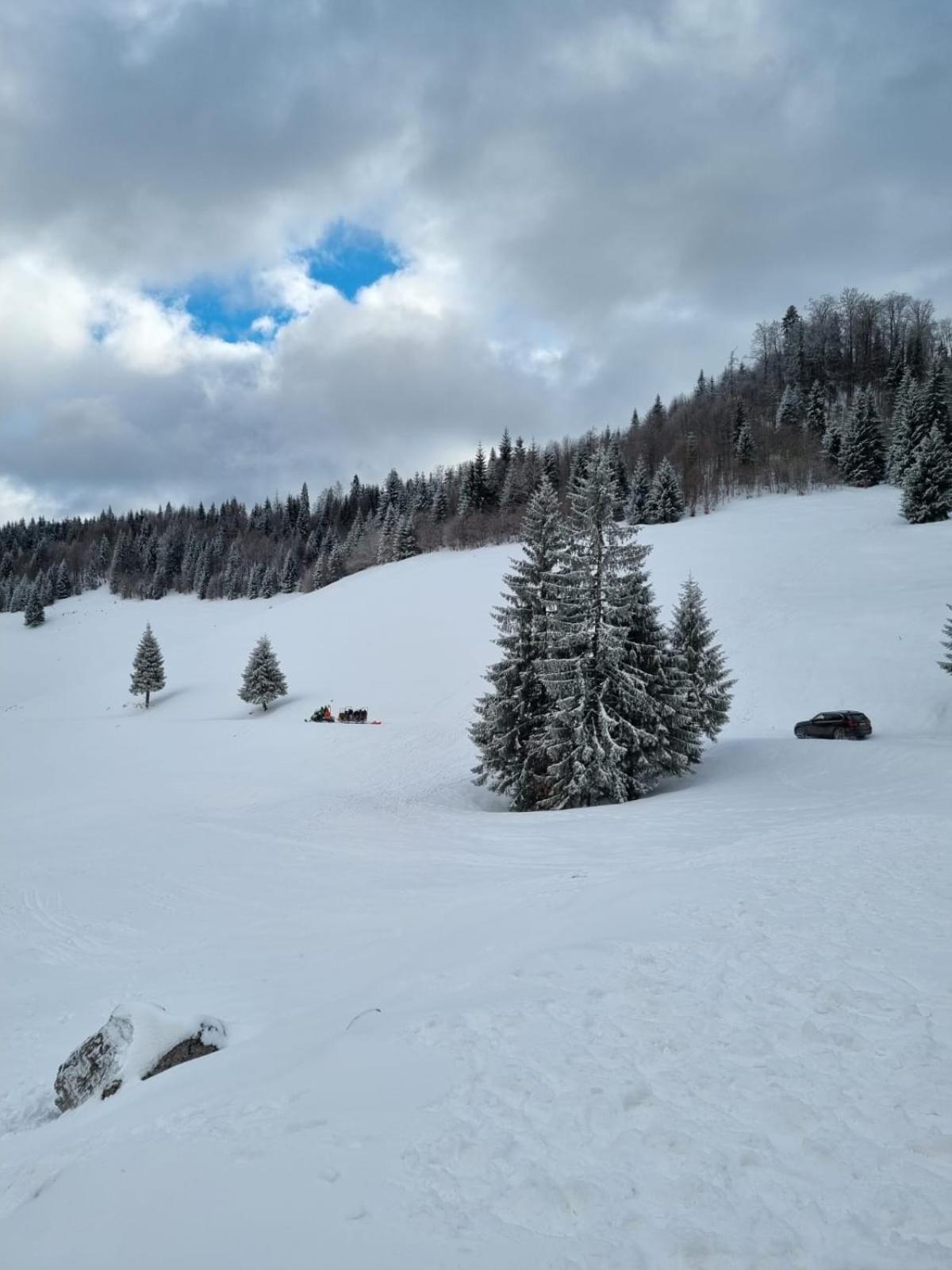 Pension Cabana Cetatile Ponorului Padis Esterno foto