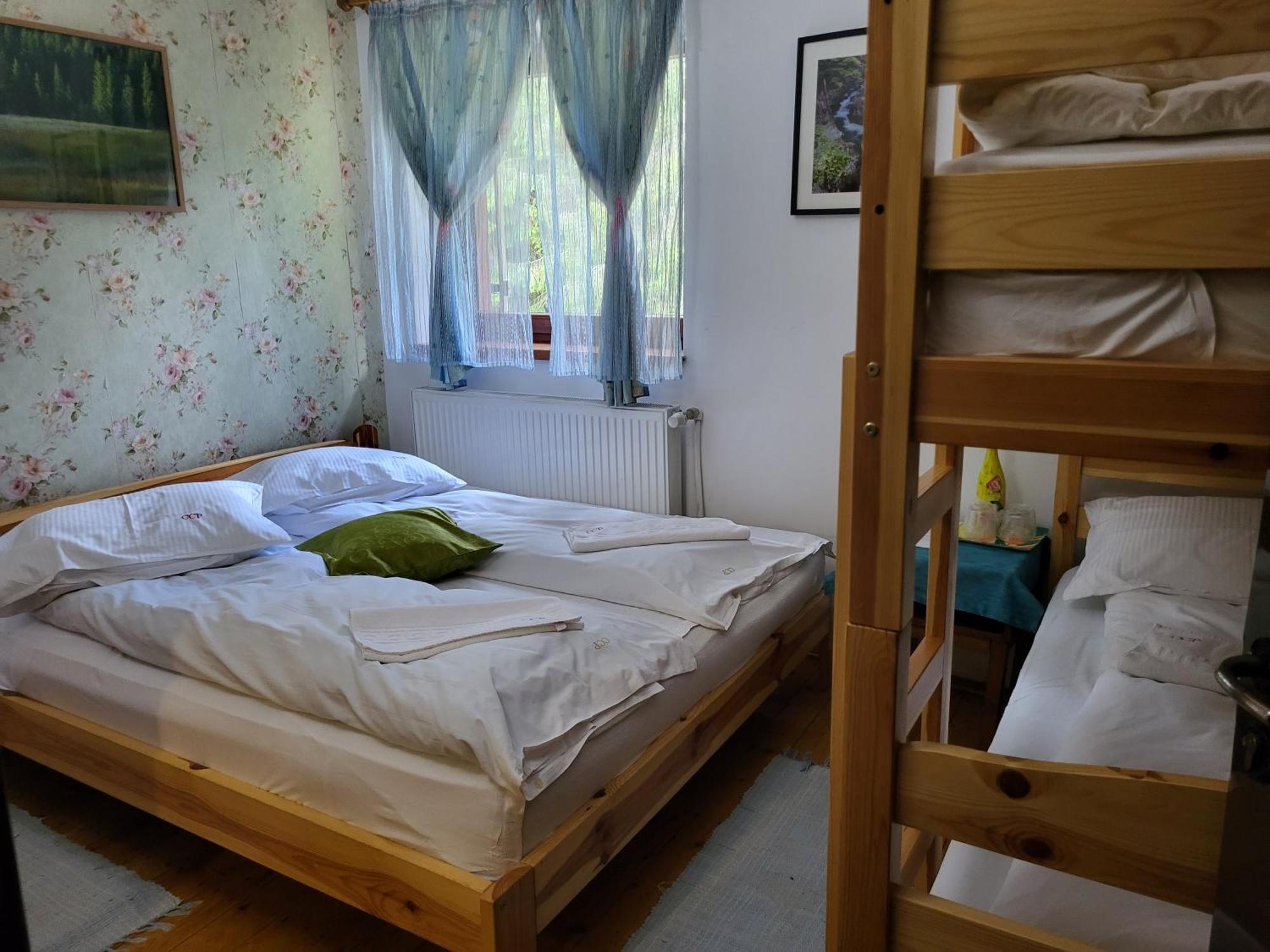Pension Cabana Cetatile Ponorului Padis Esterno foto