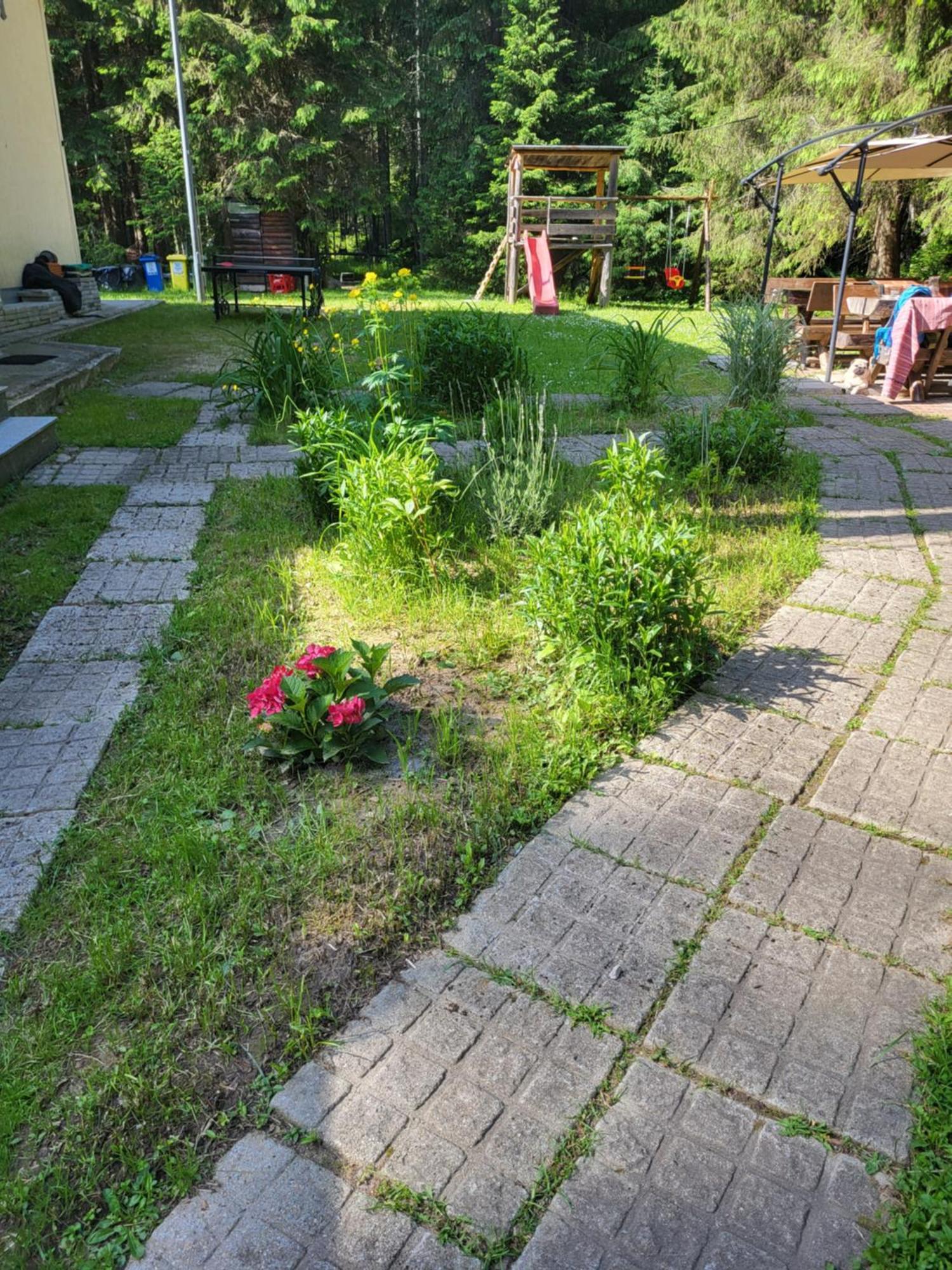 Pension Cabana Cetatile Ponorului Padis Esterno foto