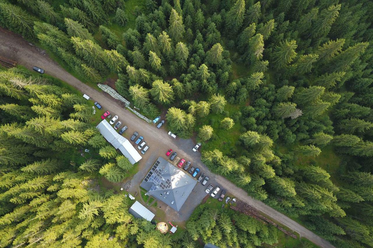 Pension Cabana Cetatile Ponorului Padis Esterno foto